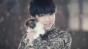 直播间爆料王俊凯视频,独家视频内容抢先看