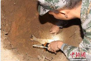 海南工地爆料事件始末最新消息,真相与争议交织的工程风波